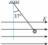 Shape19