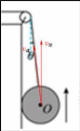 Shape55