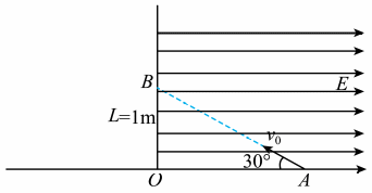 Shape13