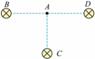 Shape8