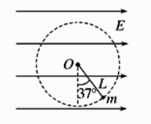 Shape13