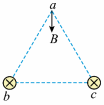 Shape5