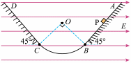 Shape8