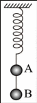 Shape15